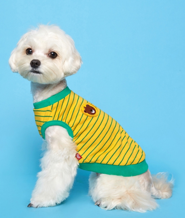 플로트X테디아일랜드 민소매티셔츠 강아지옷 옐로우