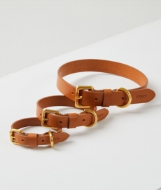 캐피디자인 COLLAR BROWN