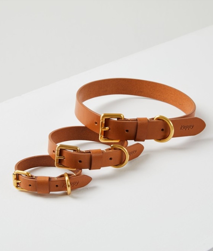 캐피디자인 COLLAR BROWN