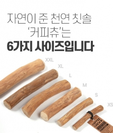 커피츄 100% 커피나무로 만든 강아지 우드 스틱 XS (10~12cm) - 5kg 이하