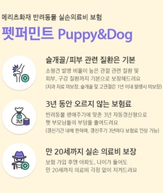 메리츠화재 펫퍼민트(강아지, 고양이)