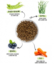 간식증정 후코홀릭 인섹트도그 동애등애 그레인프리 저알러지 사료 2.4kg