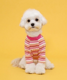 플로트 레인보우스트라이프티셔츠 강아지옷 핑크