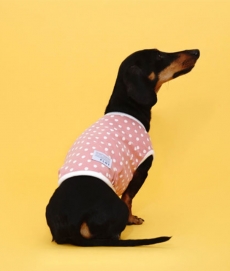 플로트 실내복 도트민소매티셔츠 강아지옷 핑크