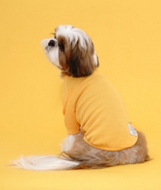 플로트 베이직티셔츠 강아지옷 옐로우