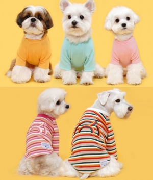 플로트 베이직, 레인보우스트라이프, 도트민소매 티셔츠 강아지옷