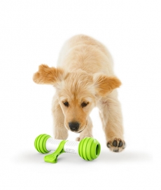 펫긱 플레이본 움직이는 강아지 운동 자동 장난감 (+스페어 키트)