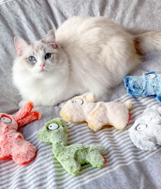 펫케어 흐리멍텅 동물원 고양이 캣닢 쿠션 인형 장난감