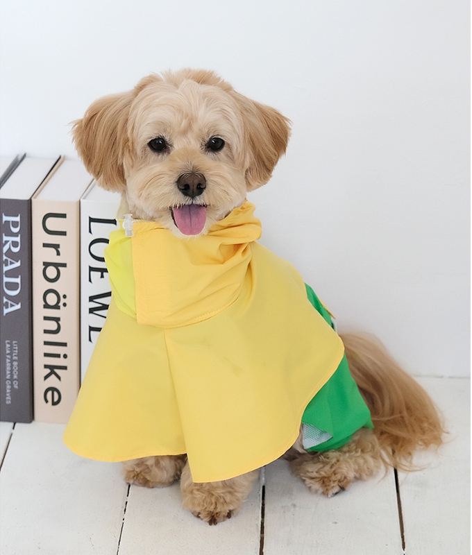 헤이제리 Color Block Poncho Raincoat [Lemon Lime]