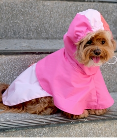 헤이제리 Color Block Poncho Raincoat [Pink Strawberry]