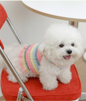 헤이제리  Candy Ruffle Top [Pastel Rainbow]