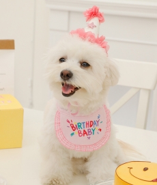 헤이제리 Birthday Baby Bib [Pink]