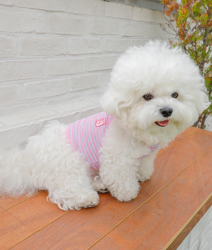 헤이제리  Cool Slush Crop Tank Top [Pinkberry]