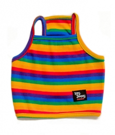 헤이제리 Rainbow Crop Tank Top