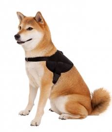 멀로 Puppy Harness 하네스 Black