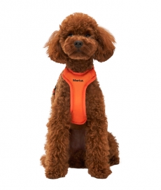 멀로 Ardor Harness 아더 하네스 Orange