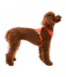 멀로 Ardor Harness 아더 하네스 Orange