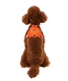 멀로 Ardor Harness 아더 하네스 Orange