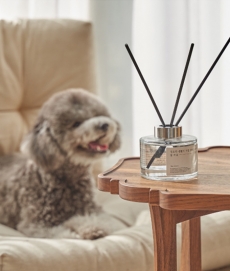 견묘한생활 강아지 고양이 디퓨저 150ml