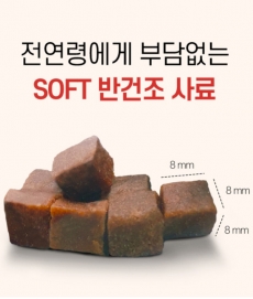 더텐소프트 강아지사료 인섹트 엔 알러지 케어 3kg