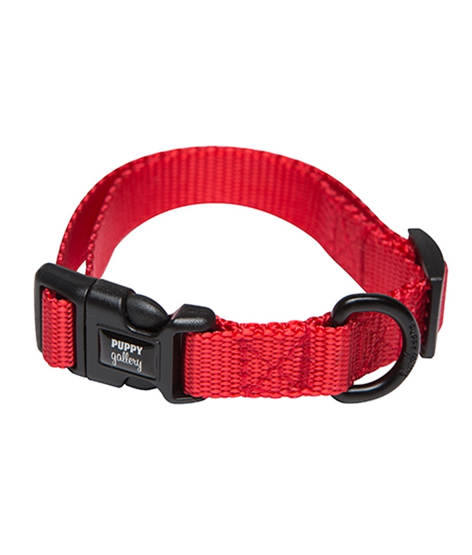 퍼피갤러리 목줄 Alps - Basic Collar (Red)