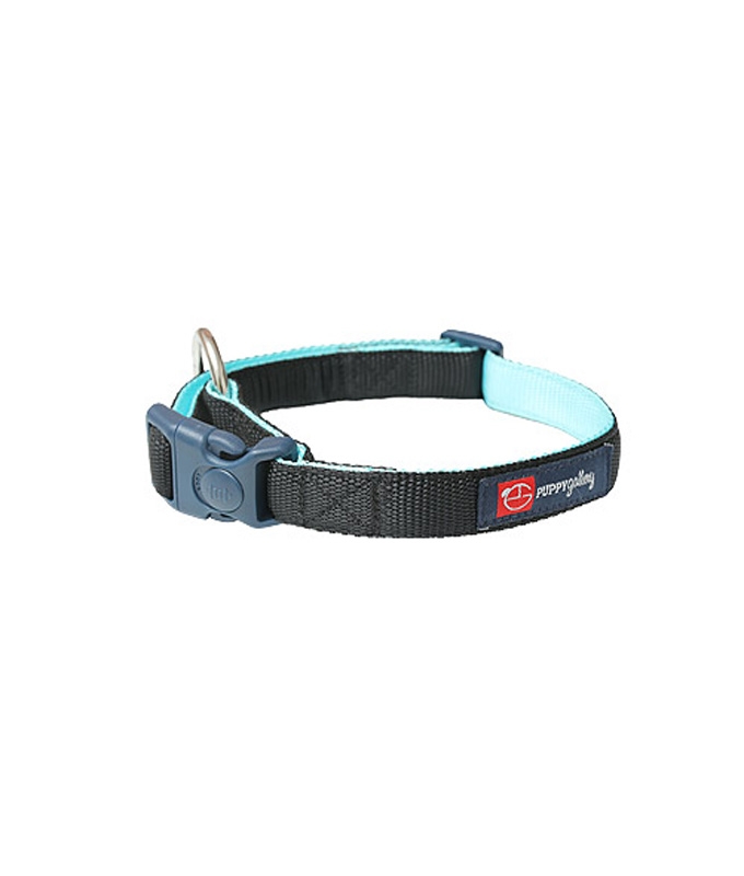 퍼피갤러리 목줄 Tokyo Ginza Collar (Black&Mint)