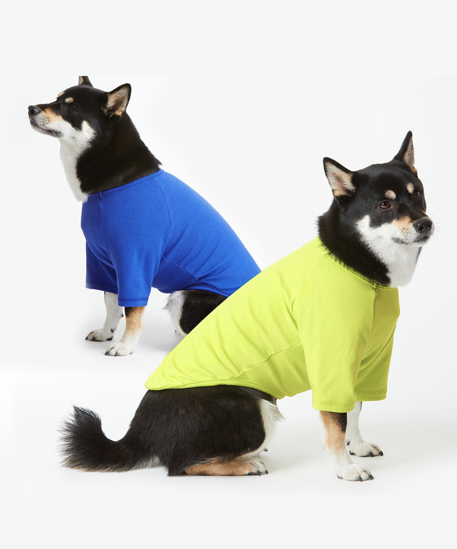 페딕트 나그랑 맨투맨 티셔츠 강아지옷 (S~2XL)