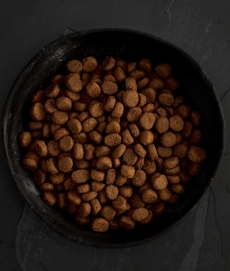 간식증정 카나간 강아지 사료 하이랜드 피스트 포 독 6kg