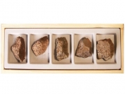 화산탄표본 k5318  5종1조