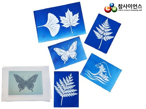 감광지(청사진 감광지) 140 &times; 95㎜ 5매