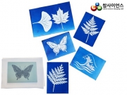 감광지(청사진 감광지) 140 &times; 95㎜ 5매