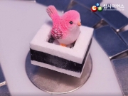 초전도체 자석 레일 대여 / 초전도체 대여