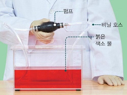 순환기관모형장치