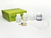 코아세르베이트 생성실험 smn