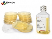 세균배양배지/액체배지/Bacteria, Living