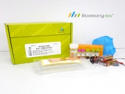 ED4012 간이전기영동- 우리 가족을 찾아라 (5인KIT)