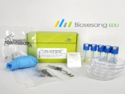 ED3001 식품 속 유산균을 배양해보자!(유산균 배지 제작 및 도말법 체험)