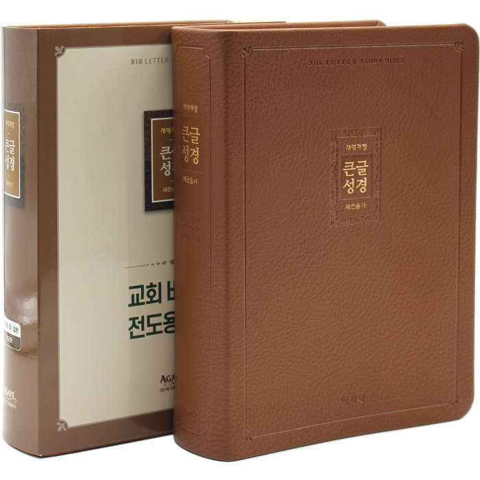 비치용 큰글성경 대합본 무지퍼 브라운