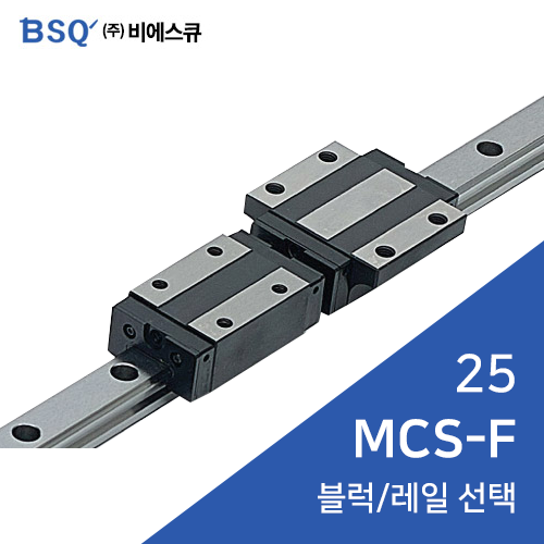 BSQ LM가이드 : MCS25F