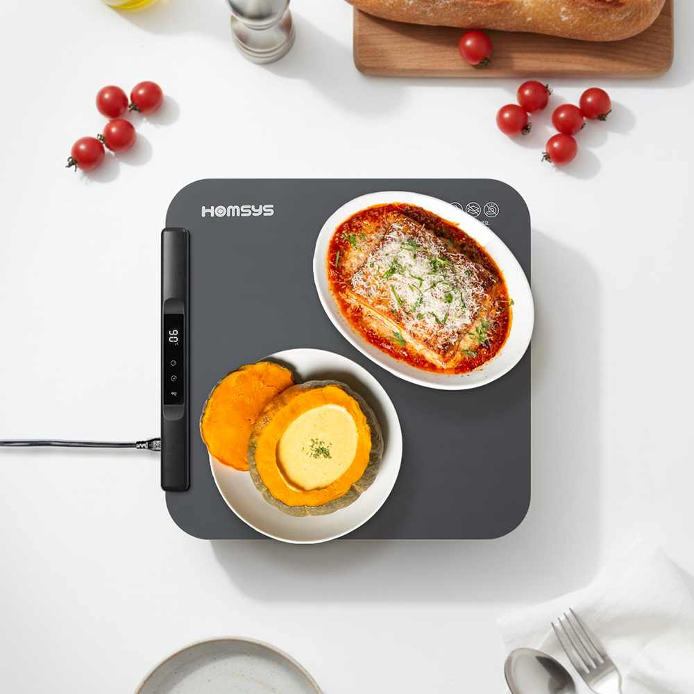 홈시스 푸드워머