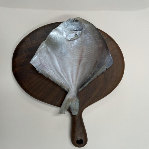 국내산 반건조생선 병어 손질된병어 구이 조림 찜 국내산병어 소(小)270g 25cm,!