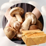 [선물세트 실속형]아침뜰 포천송화버섯 1kg 무농약 국산배지 ,선물세트,(무료 배송),!