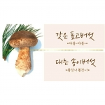 [실속형]1kg 아침뜰 포천 송화버섯 국산배지 송고 송화고 무농약 무료배송,!