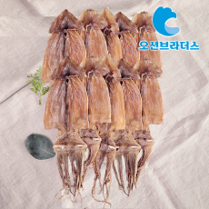 고소한건오징어450g/10마리원양산!