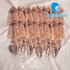 고소한건오징어1kg/20마리원양산!