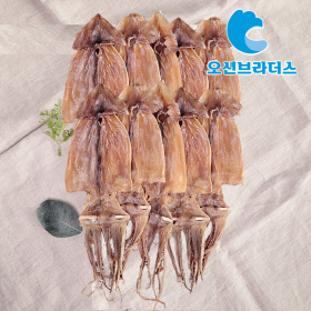 고소한건오징어550g/10마리원양산!