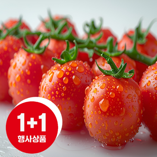 스테비아 방울토마토 500G/팩, 1+1 2팩 [무료배송],!