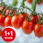 스테비아 방울토마토 500G/팩, 1+1 2팩 [무료배송],!