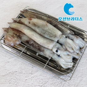 국내산 총알오징어 4-8미/500g,!