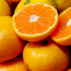 제주 도올미롱 타이벡 감귤 5KG (사이즈 : 2S~M, 로얄과), 무료배송,!